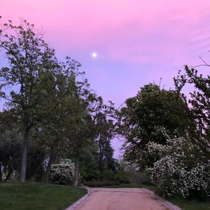 Atardecer Del Desierto