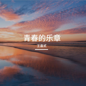 青春的乐章
