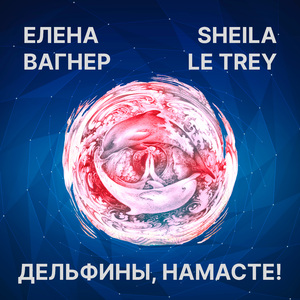 Дельфины, намасте!