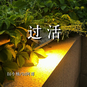 过活(动感DJ版)