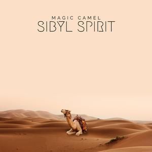 Magic Camel (Acoustic Version)
