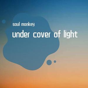 soul monkey-under cover of light