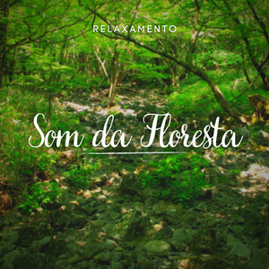 Relaxamento: Som da Floresta, Pt. 26