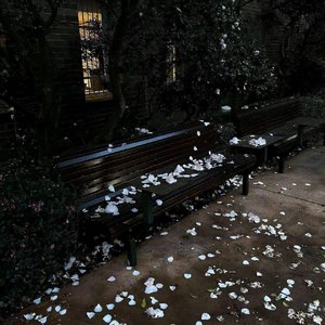 无人问我累不累