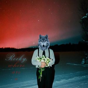 Rocky先生你在吗