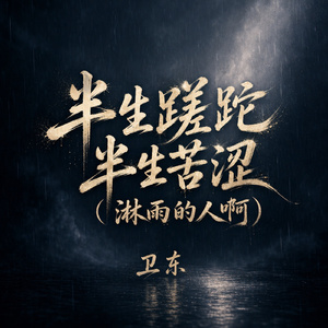 半生蹉跎半生苦涩(淋雨的人啊)