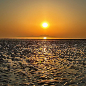 反正我们没有再见的必要(piano version)