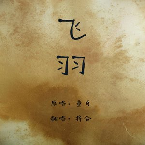 飞羽（Cover 董贞）