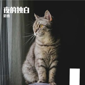 夜的独白 伴奏