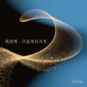 我没哭，只是风有点大