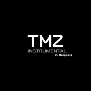 Tmz (Instrumental)