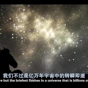 执念