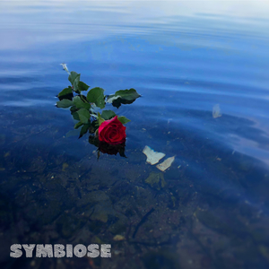 Symbiose