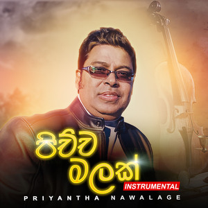 Pichcha Malak (Instrumental)