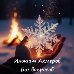 Без вопросов