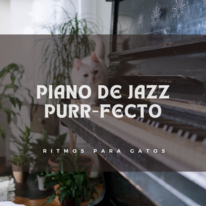 Sonata De Jazz Sereno