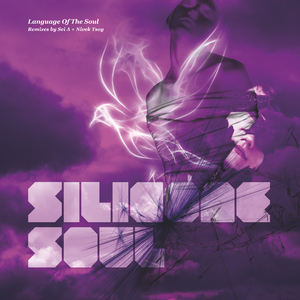 Language Of The Soul (Sei A Remix)