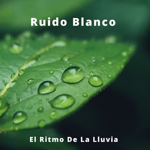 Sonidos De Lluvia Para Relajarse