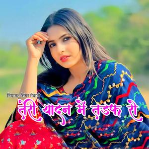 Teri yadan Mai tadaf ro