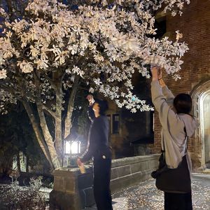 离开的时候才知道这块地方本来就没有桃花（2k24新语录旋律Vol.9）