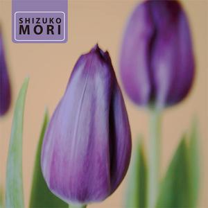 바이올렛빛 그리움