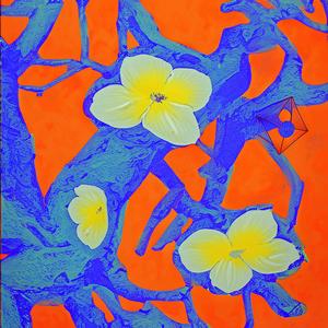 꿈이 춤추는 순간