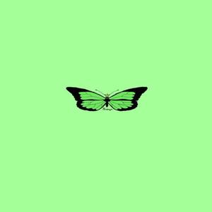 Travis
