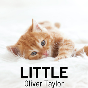 Il Libro Delle Meraviglie