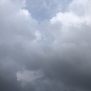 旅行中忘记（cover by 权彧）.wav