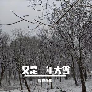 那年大雪