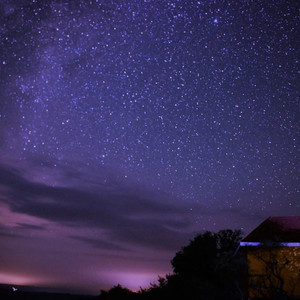 Star Night (Original Mix)