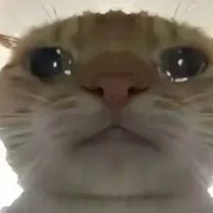 连跪小曲