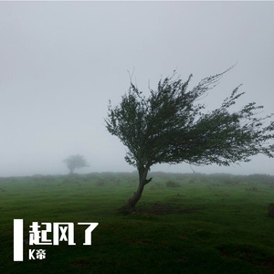 起风了(钢琴女声）