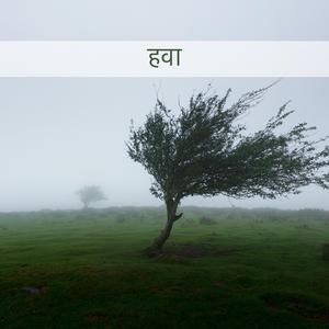 श्वेत रव