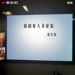 你的爱人不爱你 (DJ阿诺版)