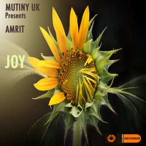 Joy (feat. Amrit)