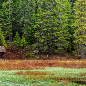 有再多的不舍也要狠心割舍