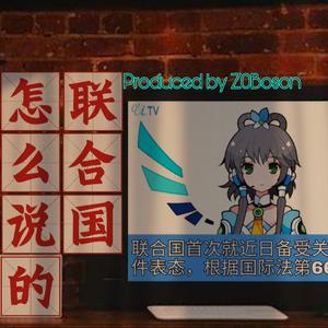 联合国怎么说的