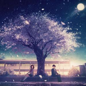 雨上がりのホーム - Platform After the Rain