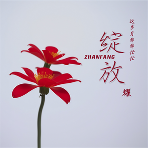 绽放