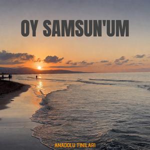 Oy Samsun'um