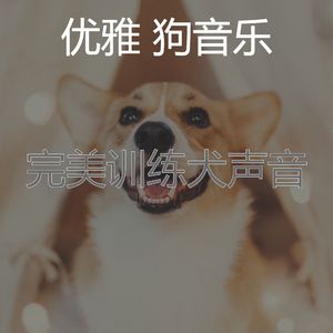 抚慰的幼犬回忆