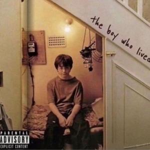 西部男孩West Side Boy