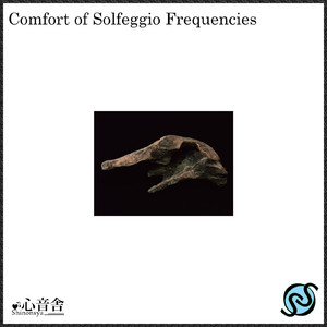 身体感覚の安定