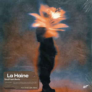 Don toliver type "La Haine"