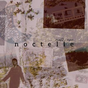 noctelle