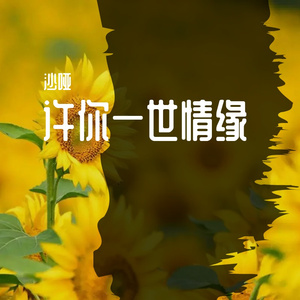 许你一世情缘（音乐抢先听）预告段落