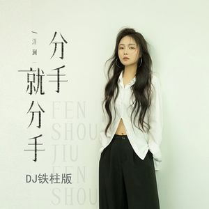 分手就分手（DJ铁柱版）