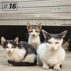 이 또한 지나간다지만 지나가도 상처는 남아요