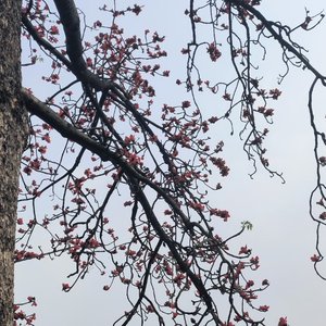 钢琴旋律的灵动之舞